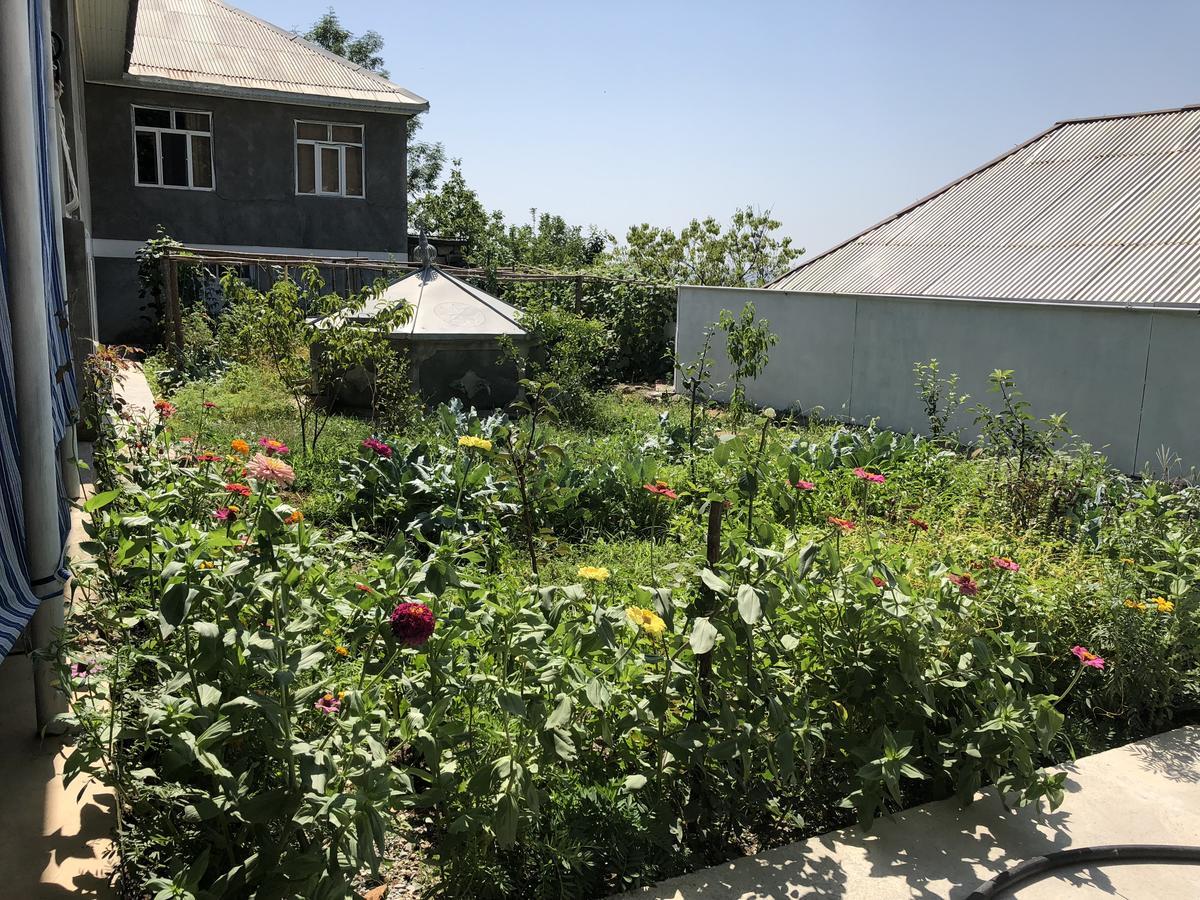 Shaki Host House Bed & Breakfast Sheki Exterior photo